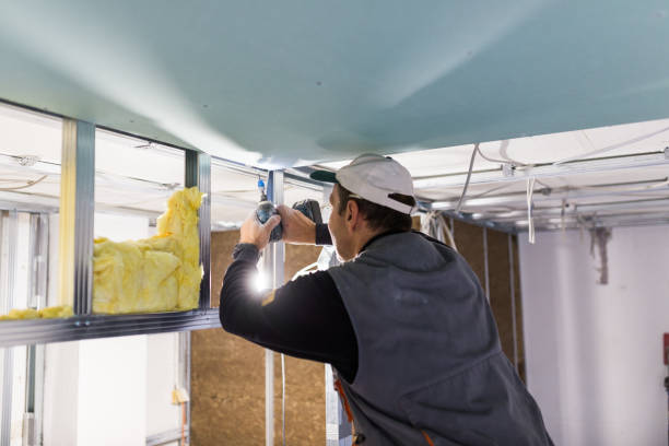 Best Geographic-Specific Insulation Services in Telford, TN