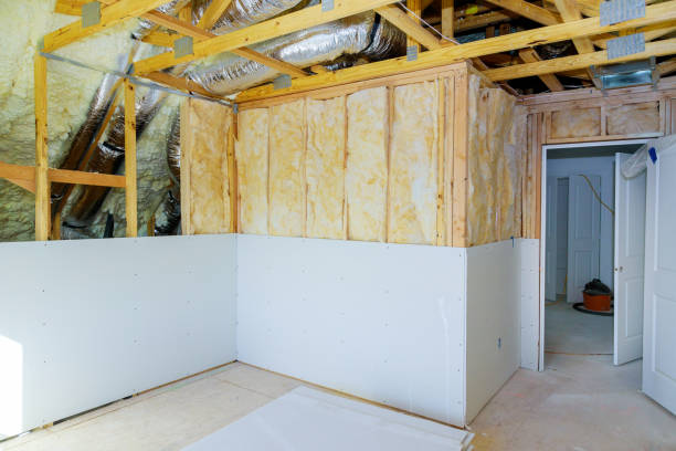 Best Insulation Maintenance and Repair in Telford, TN