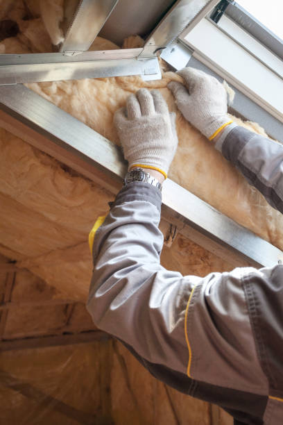 Best DIY Insulation Kits and Guidance in Telford, TN