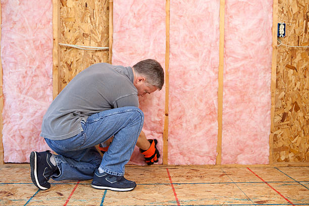Best Specialized Insulation Services in Telford, TN