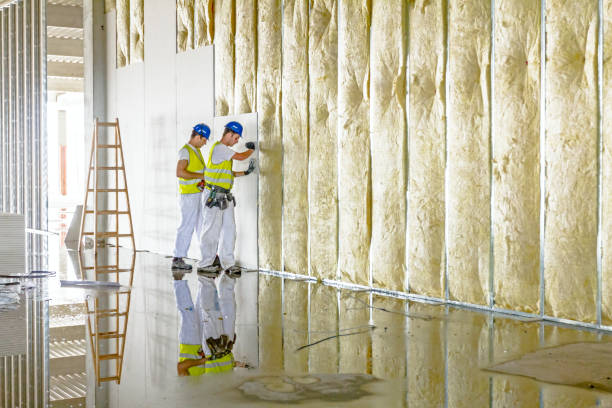 Best Cellulose Insulation in Telford, TN